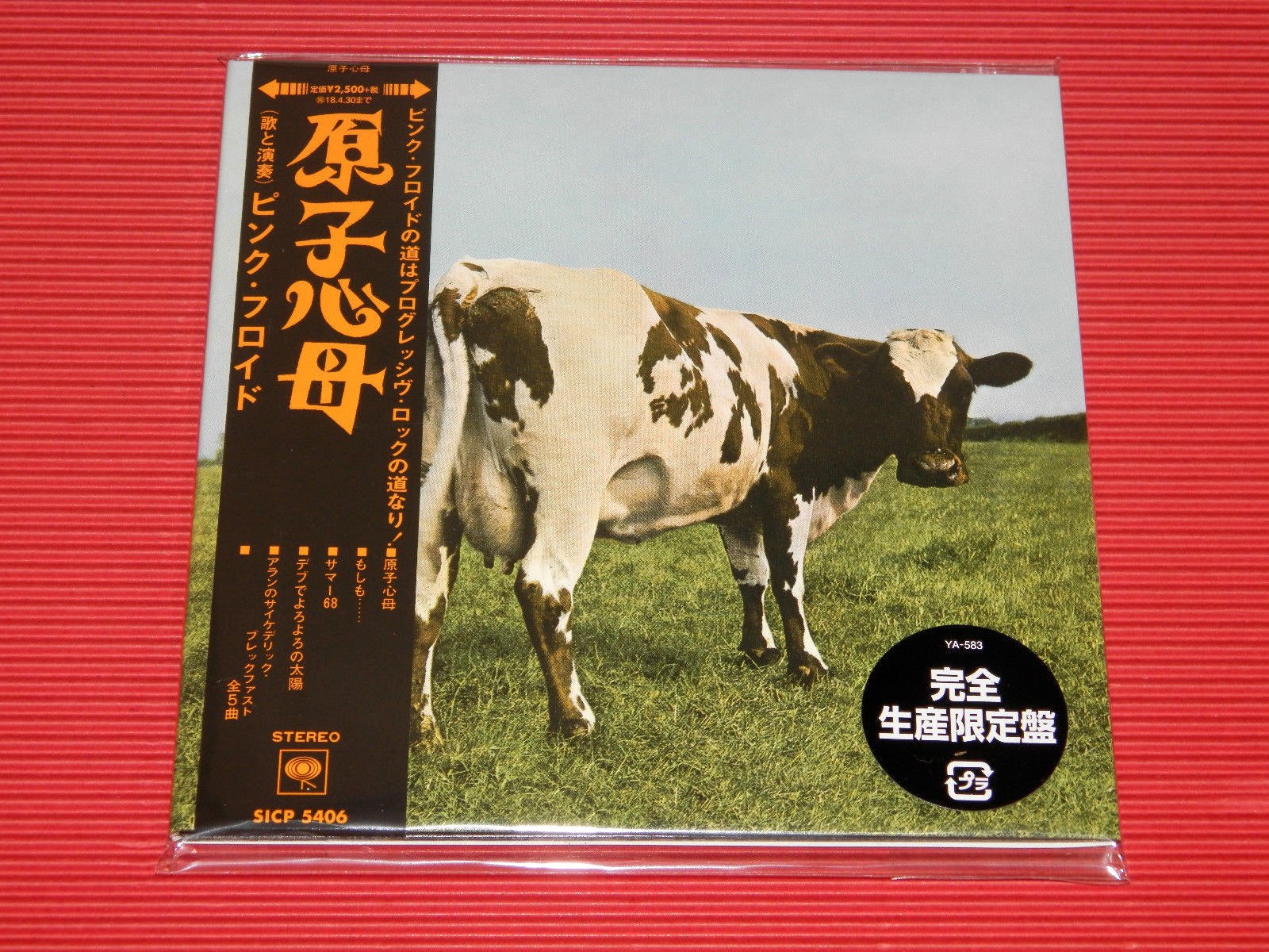 Roger Waters 新品レコード ROGER WATERS