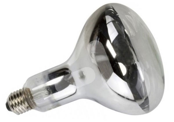 

Żarówka Promiennik Lampa Grzewcza Kwoka E27 175W