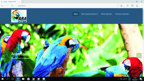 BMW 668 SCHWARZ II LAKIER SAMOCHODOWY ZAPRAWKA DO RYS 10 ML ARASYSTEM EAN (GTIN) 5904907485661