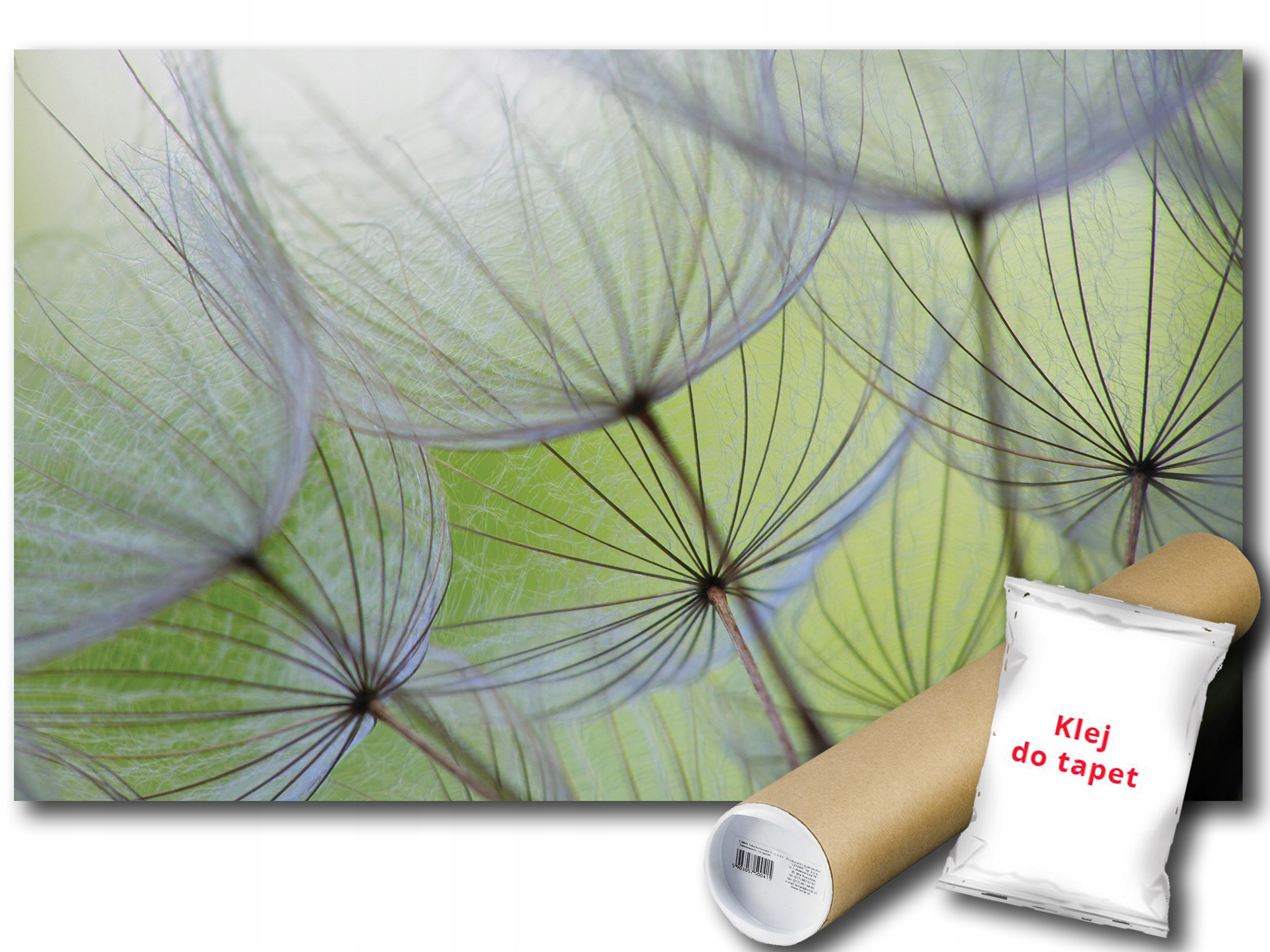 Fototapeta Dmychadla 9A V8 368x254 F271