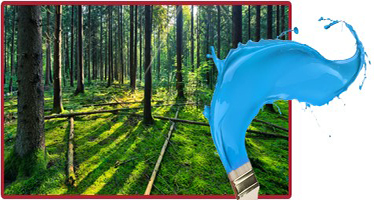 łóżko piętrowe RAJ 2 ze schodkami (bez stelaży i materacy) fioletowy połysk Długość 254 cm