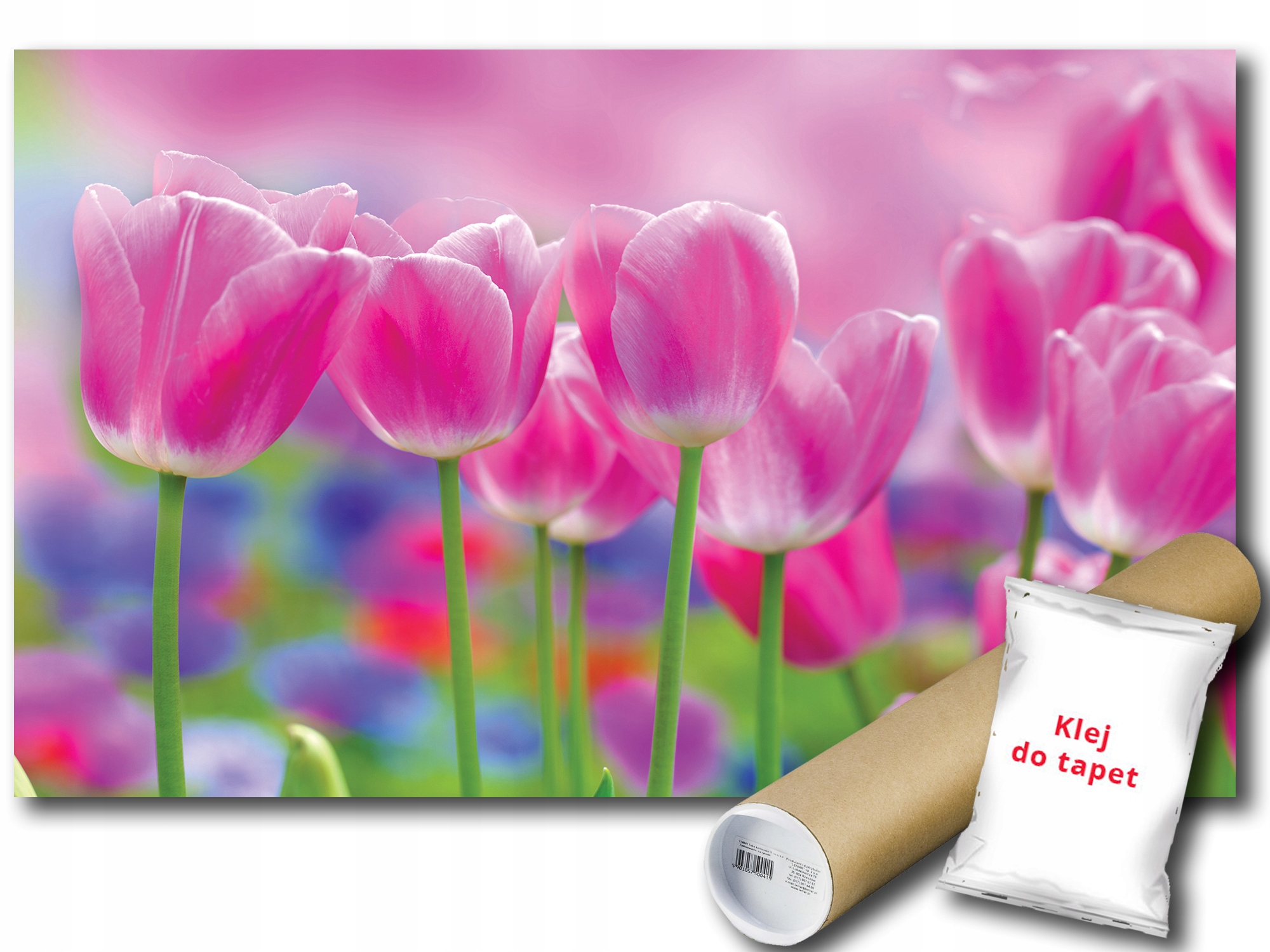 Fototapeta Růžové Tulipány 9C Fxl 208x146 F273