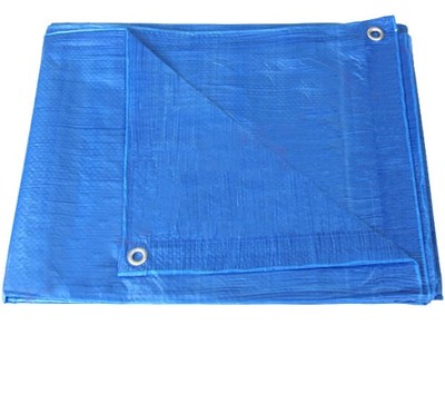 

Plandeka 6x12 m Duża niebieska