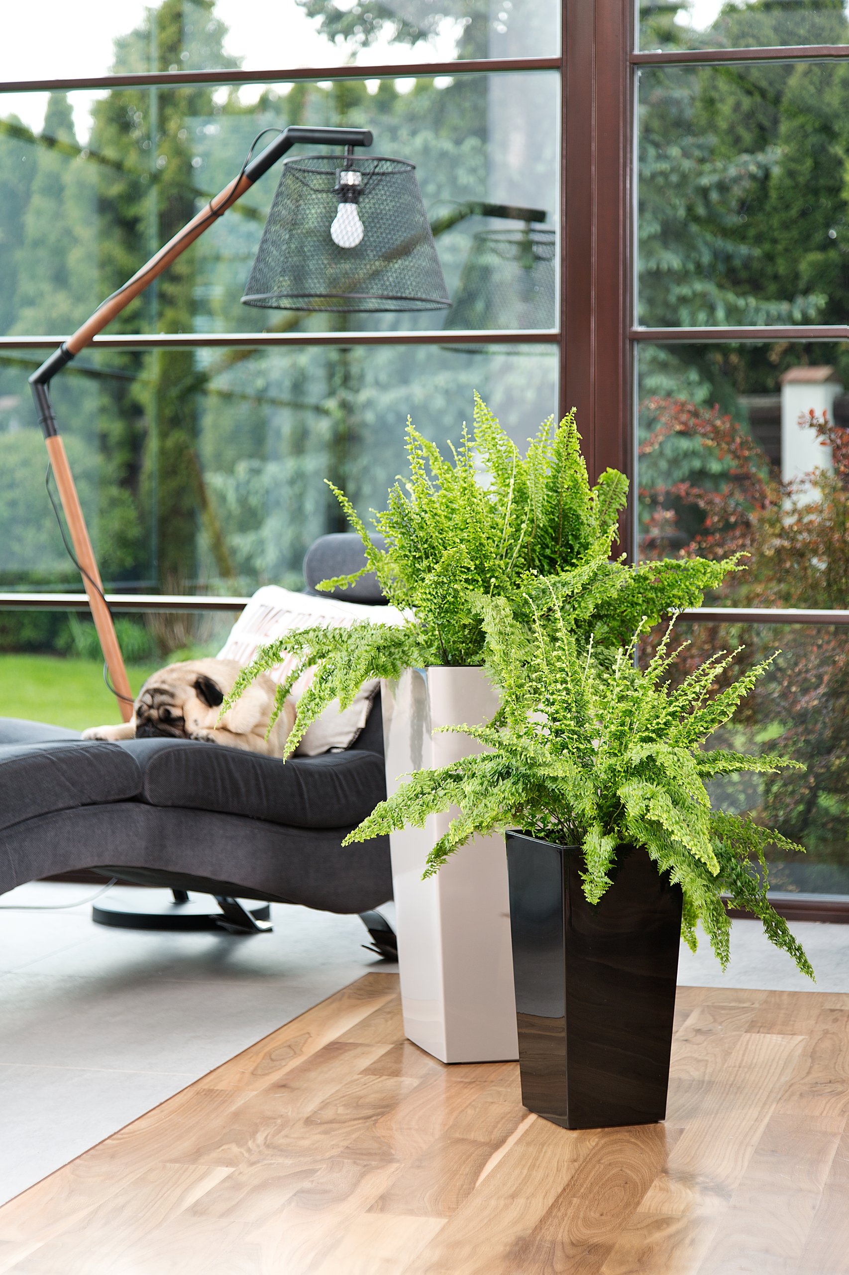 DONICA LAMELA FINEZJA 35x35 h68 Z WKŁADEM BIAŁA Wysokość produktu 68 cm