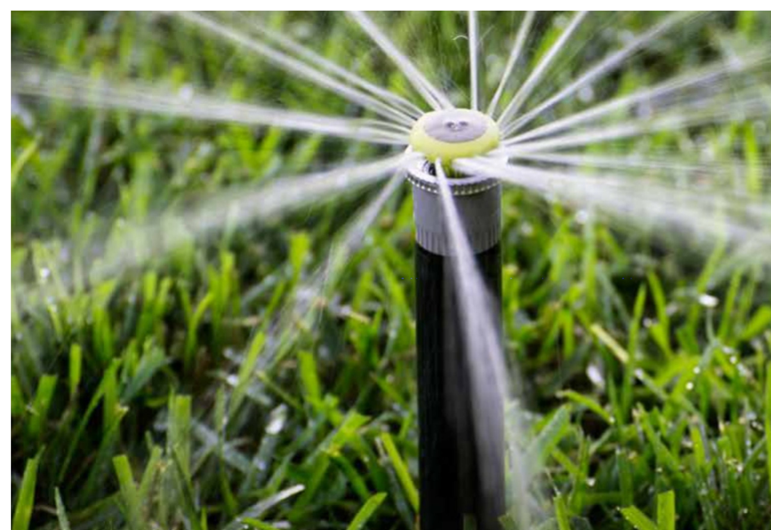 MP1000 210-270 dysza rotacyjna MP Rotator Hunter EAN (GTIN) 20611698156166