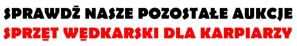 Kołowrotek karpiowy Delphin Raya 55 Y Rozmiar 5500