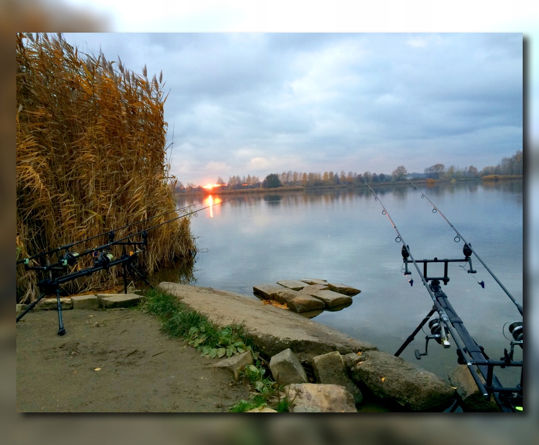 SYGNALIZATOR BRAŃ MISTRALL ARROW BLUE Model ARROW