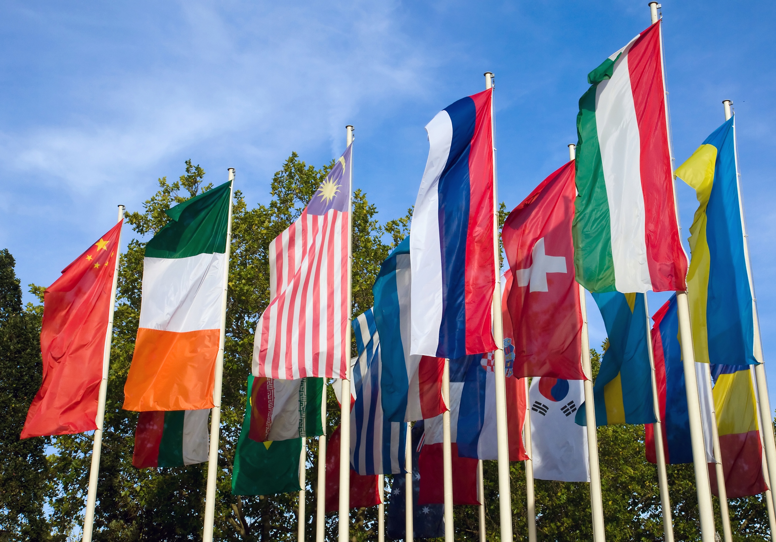 Various countries. Разные флаги. Здание где 8 флагов разных стран. Флаги разных цветов фото. Флаги разных стран из окон фото.