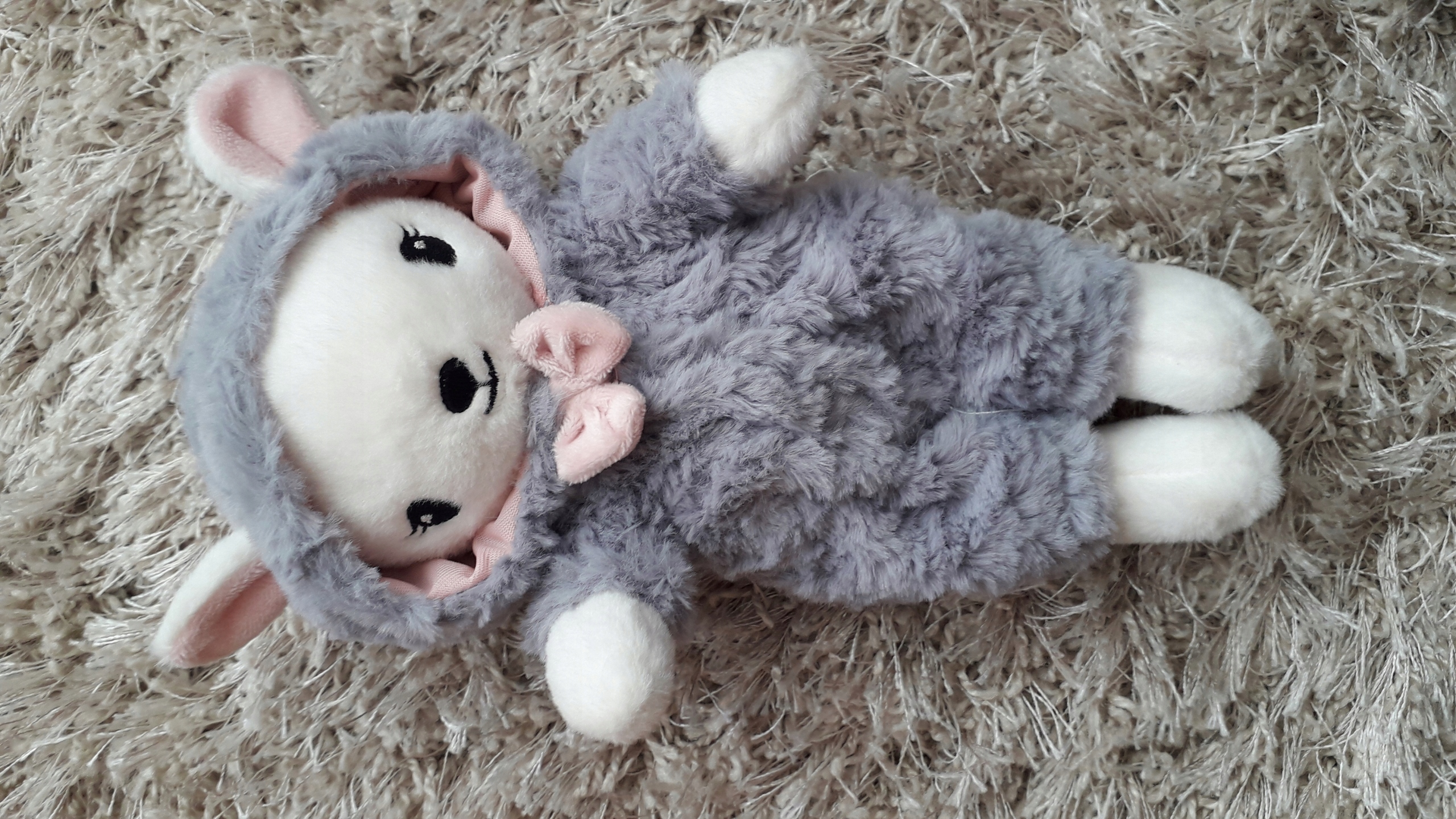 Owieczka W Ubraniu Hm