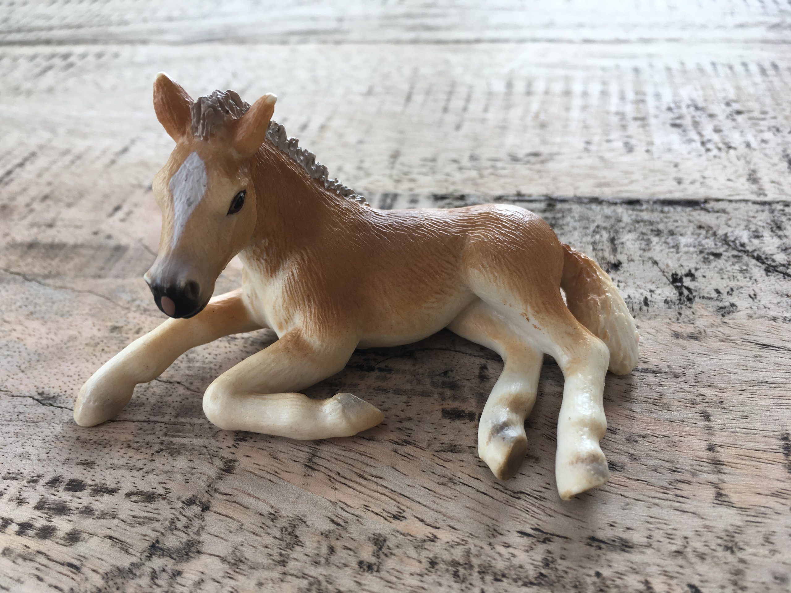 Figurki Konie Schleich Zrebak