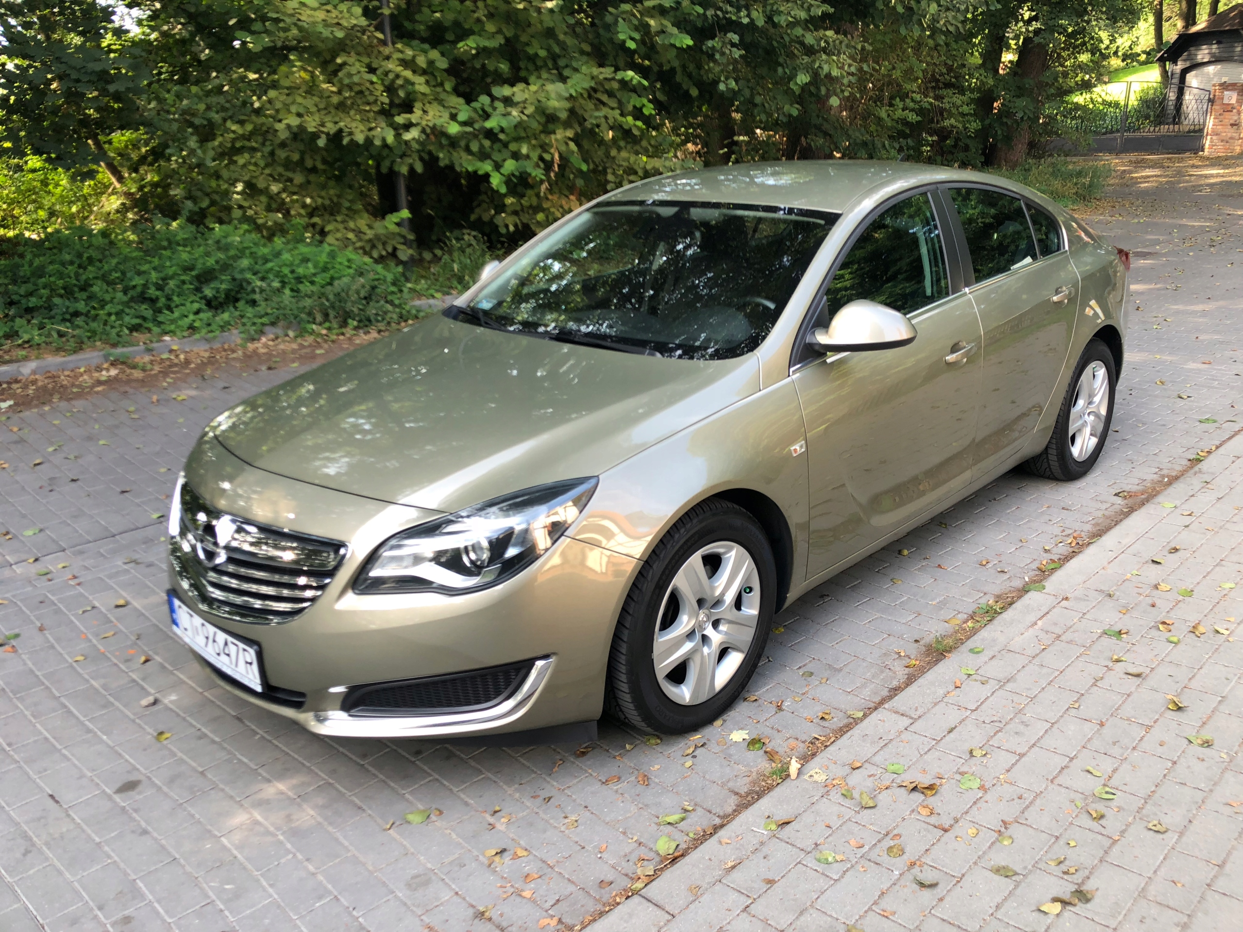 Opel insignia salon