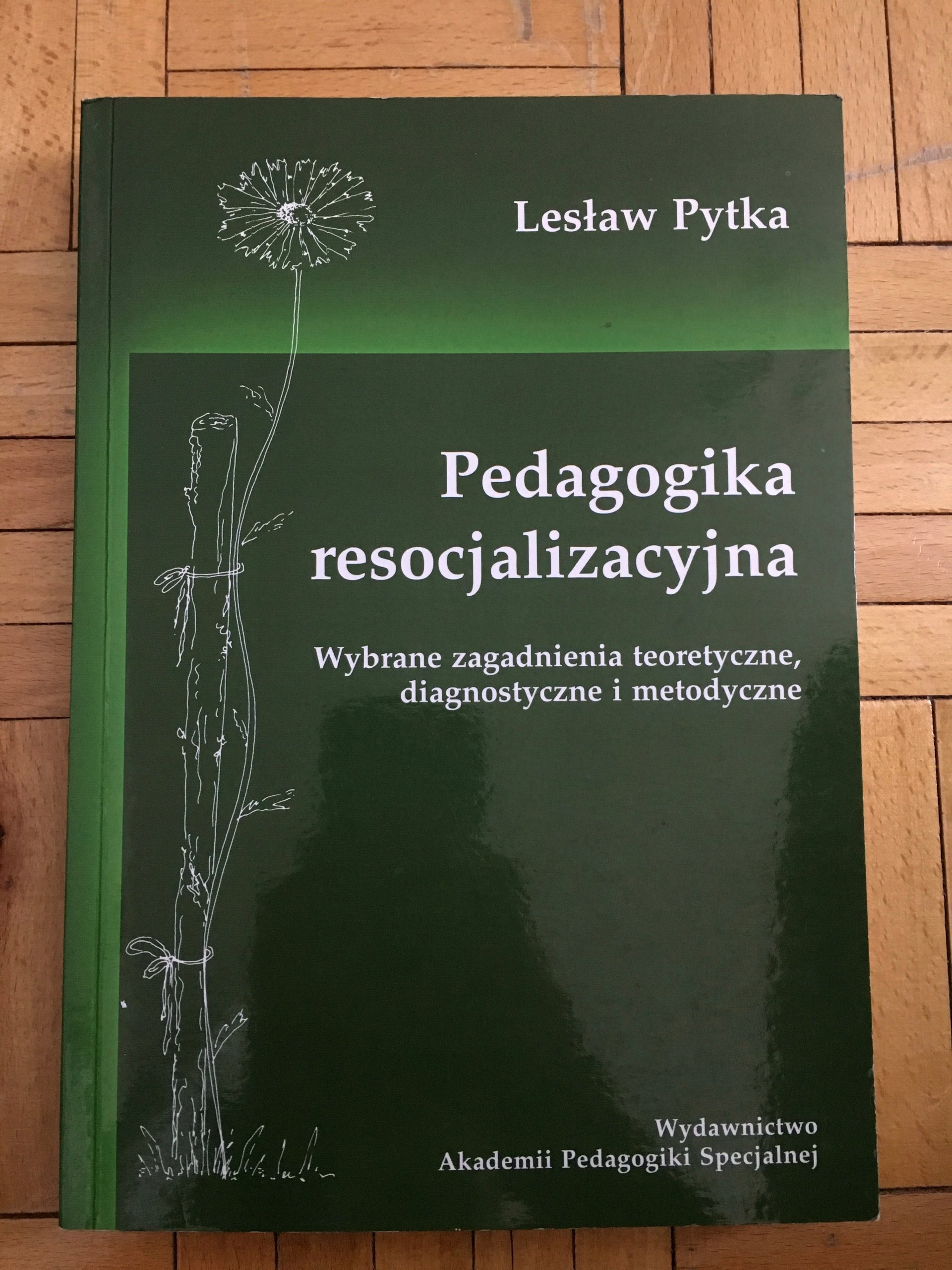 LESAW PYTKA PEDAGOGIKA RESOCJALIZACYJNA PDF