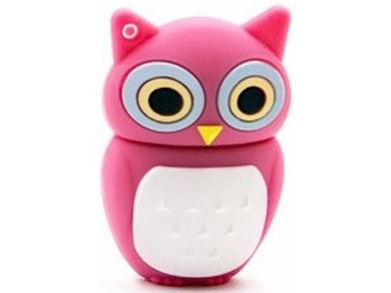 

Pendrive Usb 8 Gb Sowa Brąz Róż Czarny Wysyłka 24H