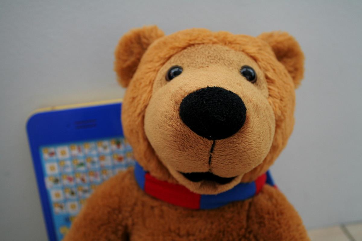 photo 1 Bear