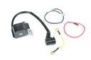 фото mini №2, Block ignition coil stihl fs160 fs180 fs220 280