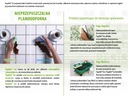 фото міні №5, Kerakoll шовний fugalite 12 горіховий 3kg епоксид
