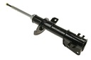 фото mini №8, Shock absorber fiat right. stilo 01- - bravo 06- gas b4