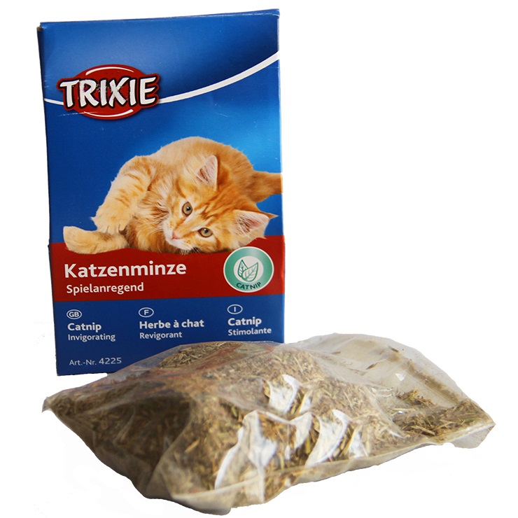 Trixie KOCIMIĘTKA kocia miętka w kartoniku KOT 20g