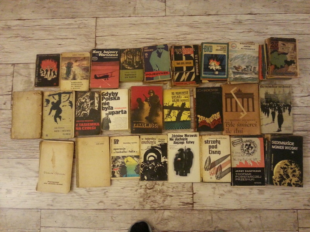 266 szt. książek wojennych. Tygrys, tygrysy, wojna