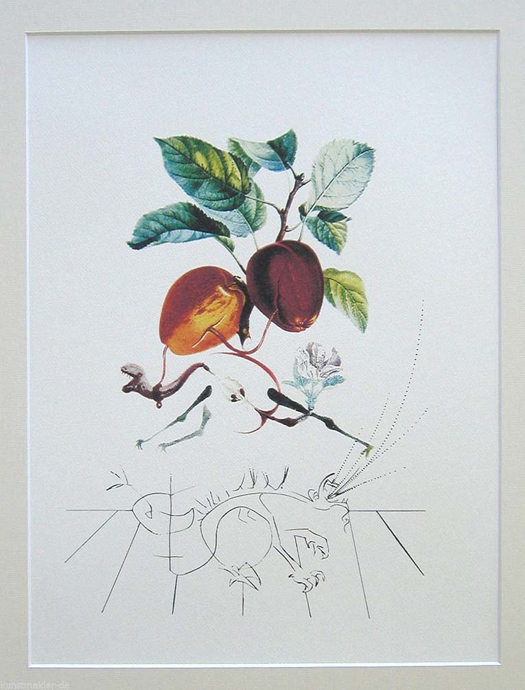 Salvador Dali FLORDALI Smocze jabłko'344