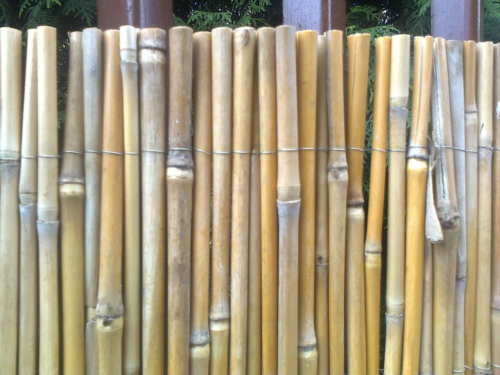 Mata z miskanta 1.3 x 3m miskantus, bambus,