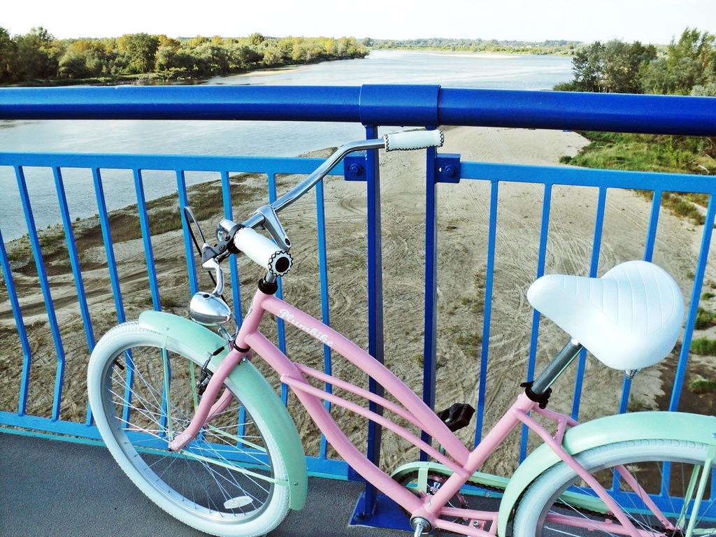 Rower damski Plumbike 7356596905 oficjalne archiwum Allegro