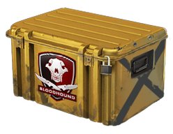 Skin CS:GO Skrzynia falcjonu Falchion Case 10sztuk