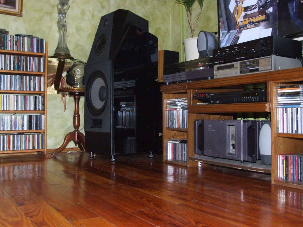 Wilson Audio Witt