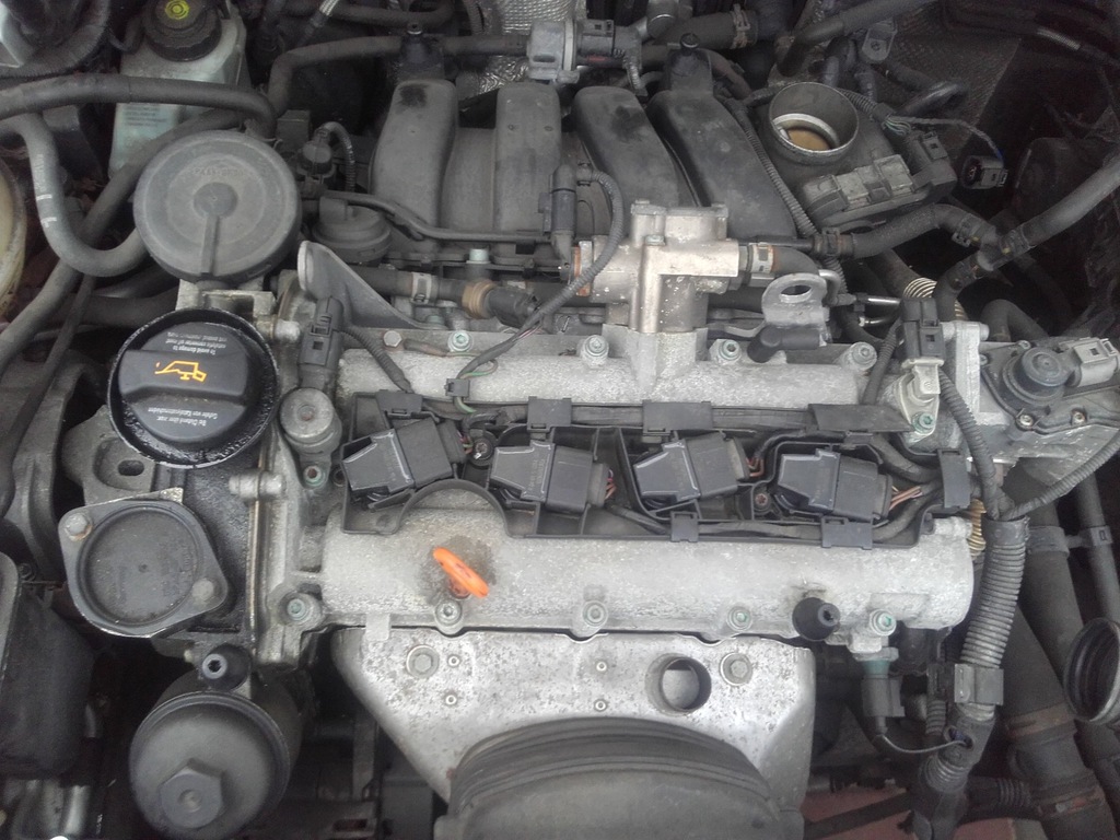 vw golf v SILNIK 1.6 fsi blp 168tyś kompletny GWA 6807483311