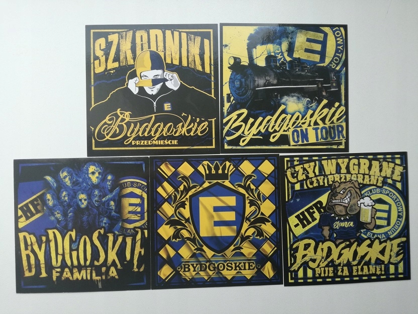 VLEPKI ELANA TORUŃ (RUCH WIDZEW KALISZ)