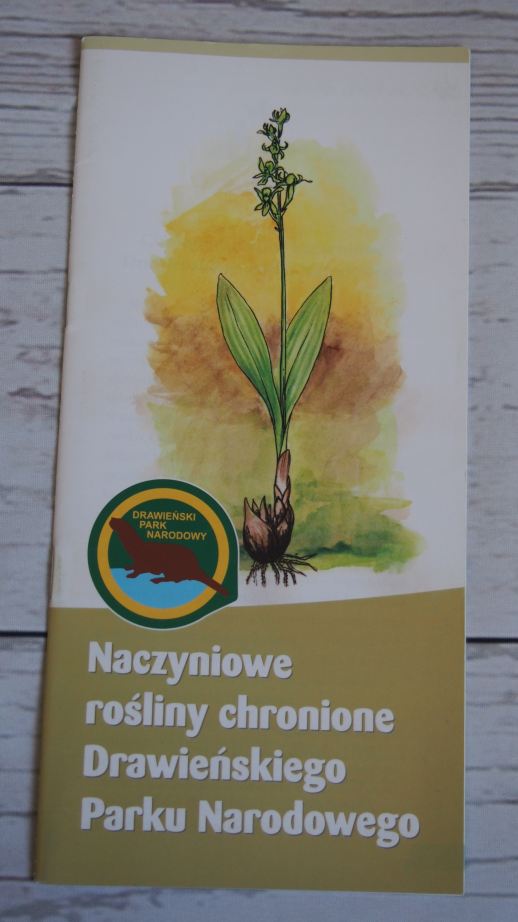 DRAWIEŃSKI PARK NARODOWY NACZYNIOWE ROŚLINY CHRONI