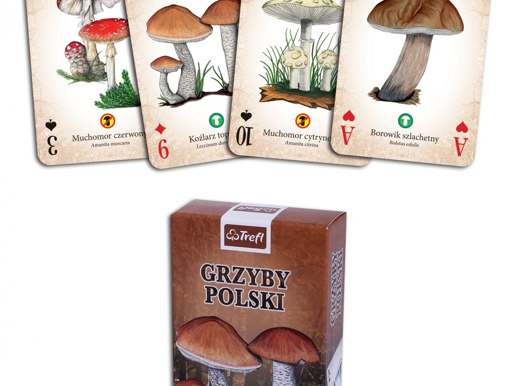 Talia kart Trefl Grzyby Polski
