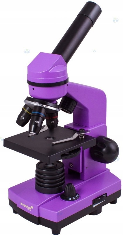 Mikroskop Levenhuk Rainbow 2L AmethystFioletowy #M
