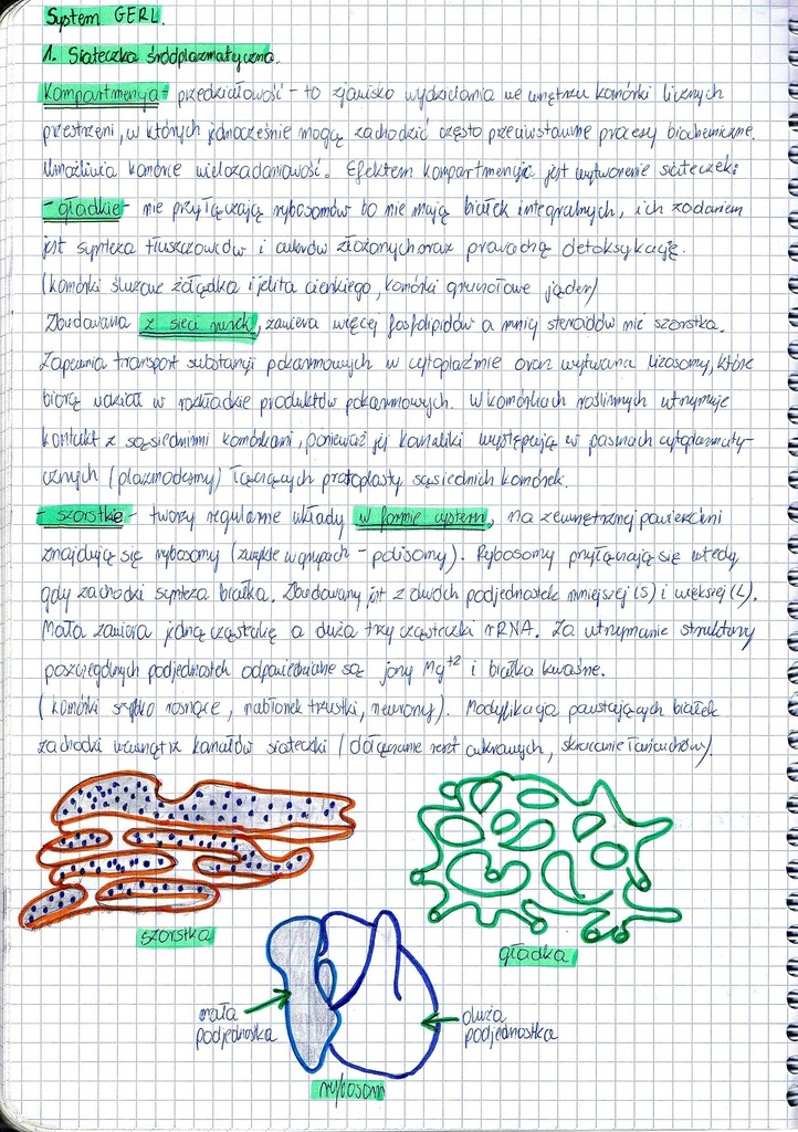Zadania Maturalne Z Bakterii Wirusów I Protistów Notatki maturalne z biologii Matura Biologia 2017 - 6959912247