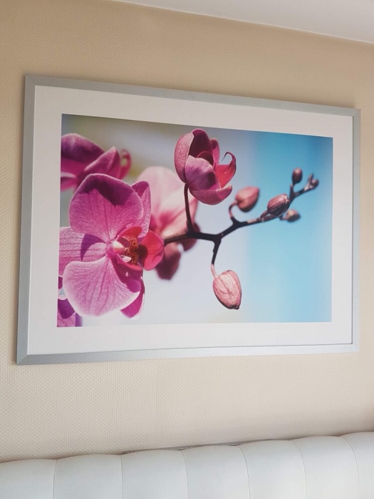 Obraz ikea storczyk orchidea bdb stan