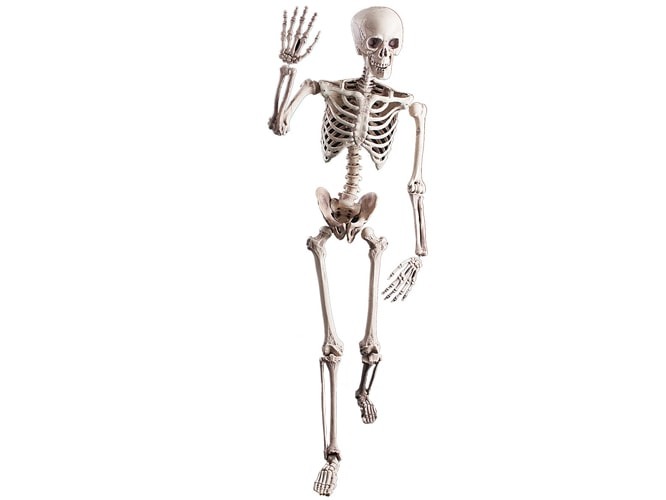 Szkielet Kościotrup 160 cm dekoracja na Halloween