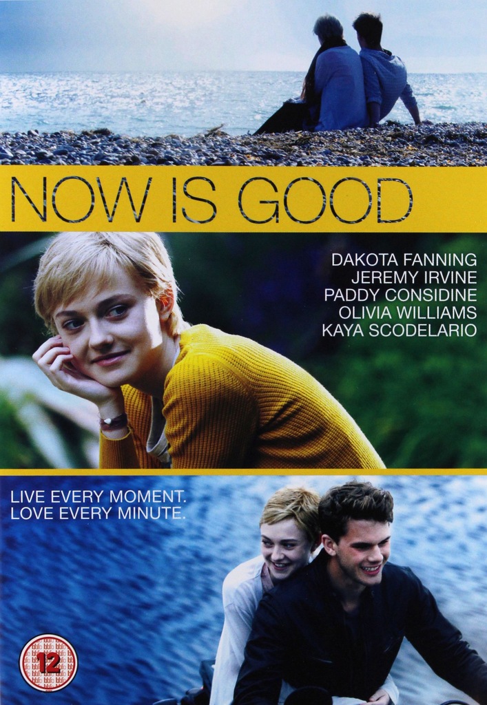 NOW IS GOOD (NIECH BĘDZIE TERAZ) [EN] [DVD]
