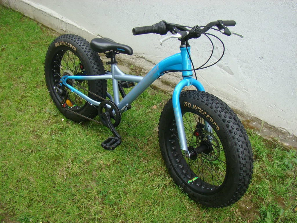 fat bike junior