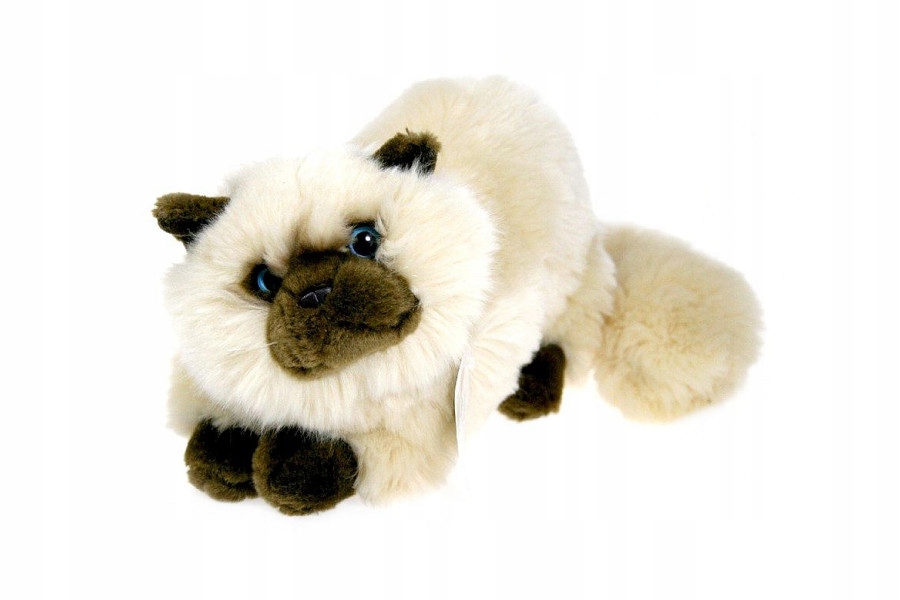 MASKOTKA KOT RAGDOLL KOTEK KREMOWY LEŻĄCY 30cm