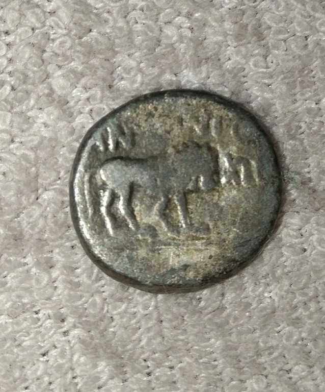 Fulwia żona Marka Antoniusza srebrny Quinarius