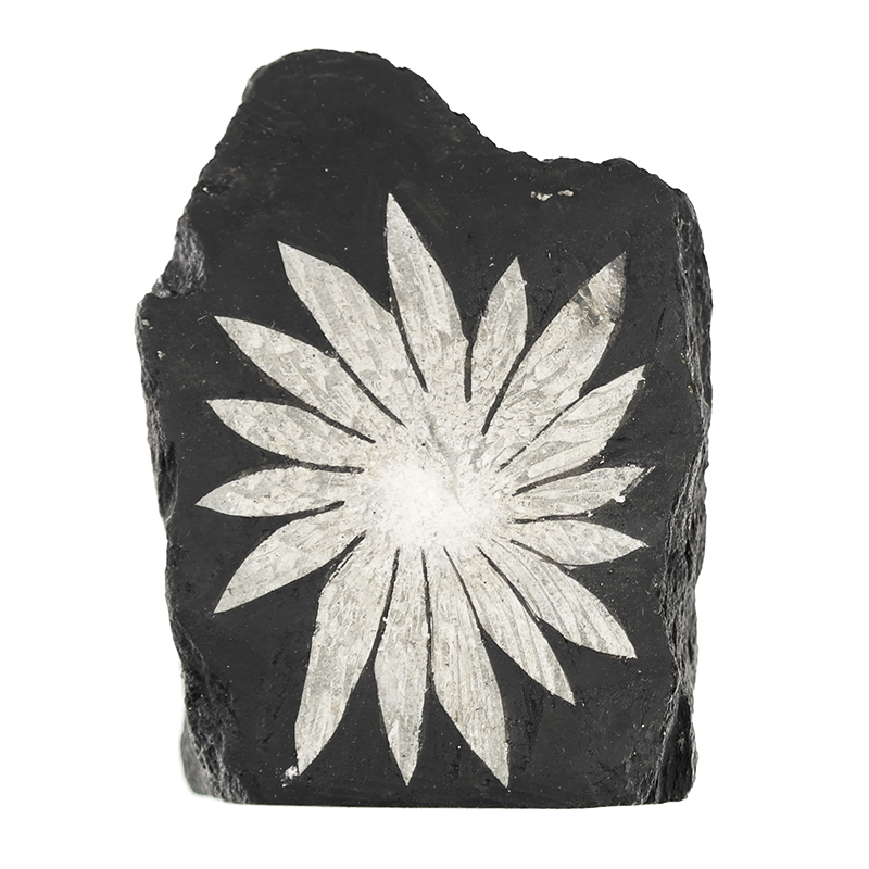 CELESTYN - KAMIEŃ CHRYZANTEMOWY - K1917