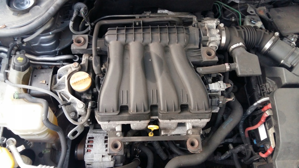 Renault Laguna III 2.0 16V silnik M4R w aucie BYDG