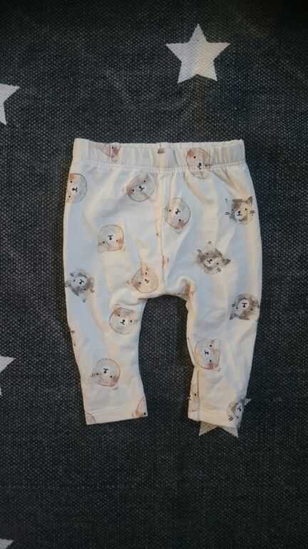 Leginsy spodnie Zara mini kotki baby 56 62 68