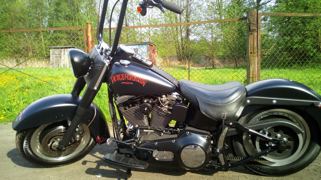 evo heritage softail