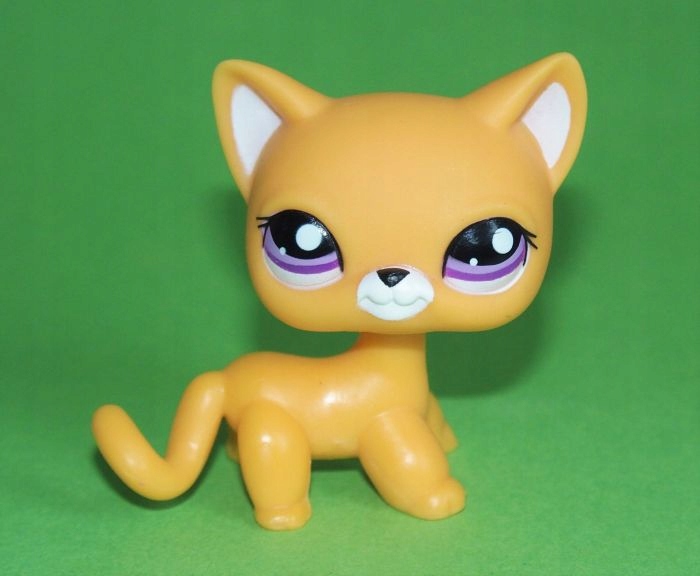 KOTEK shorthair #2433 Littlest Pet Shop ORYGINAŁ - 7717315993 - oficjalne  archiwum Allegro