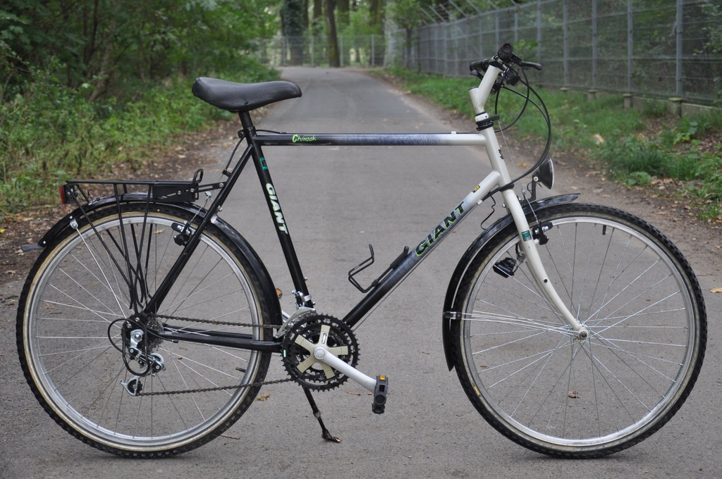 Giant best sale chinook bike