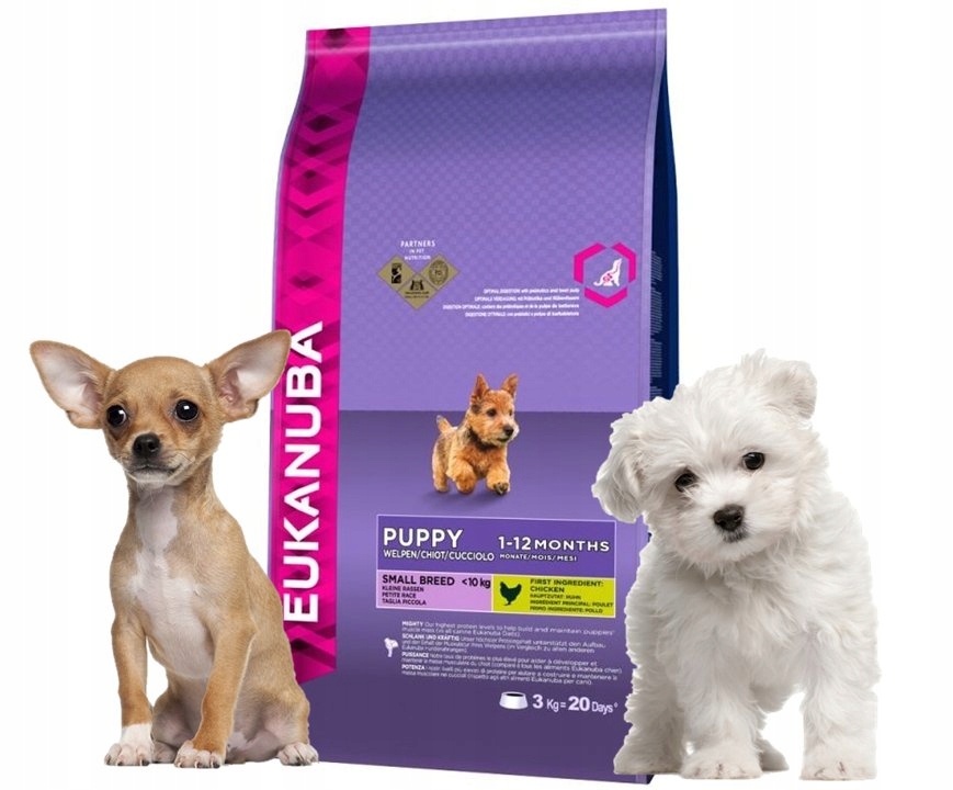 EUKANUBA Mini CHIHUAHUA MALTA CZYK szczeniak 7 5kg 7001038032 oficjalne archiwum Allegro