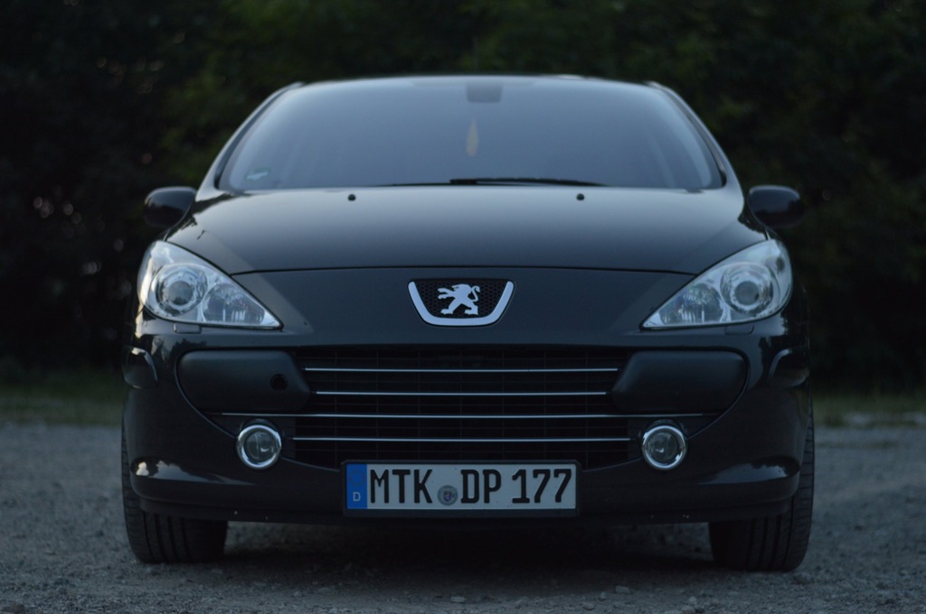 Peugeot 307 feline