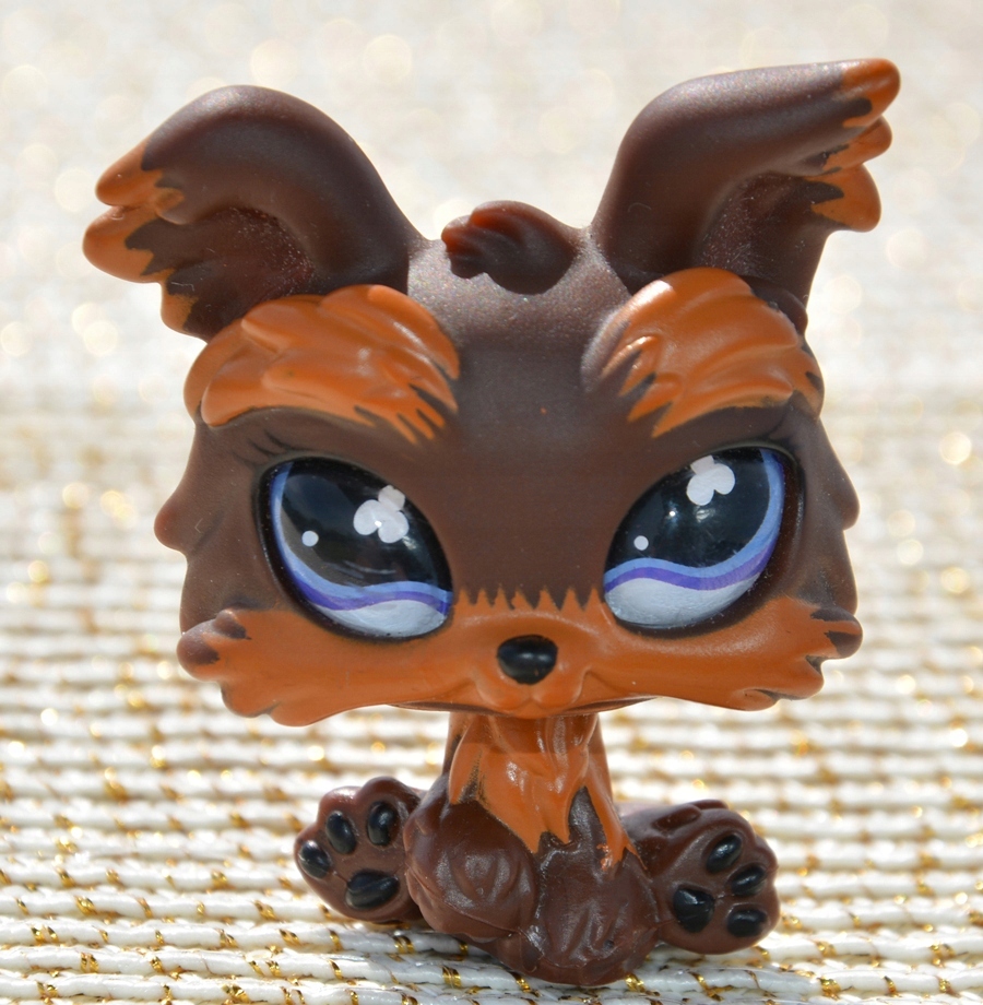 Littlest Pet Shop Piesek York LPS Oryginał