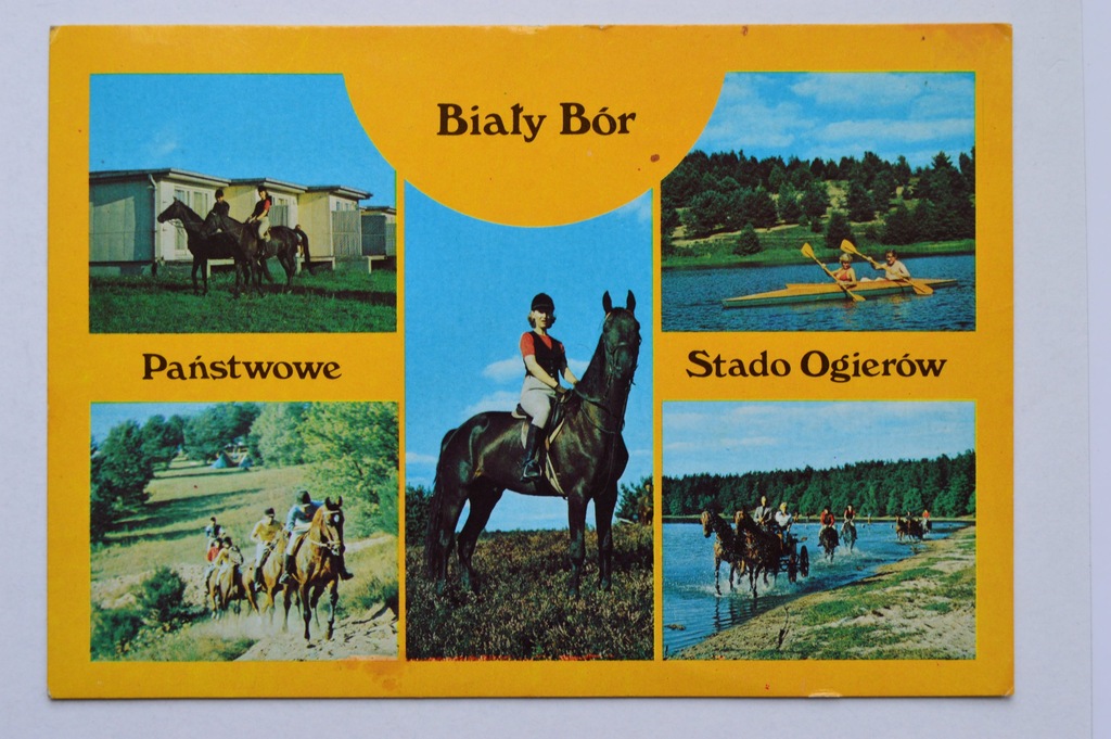 STADO OGIERÓW BIAŁY BÓR - KONIE